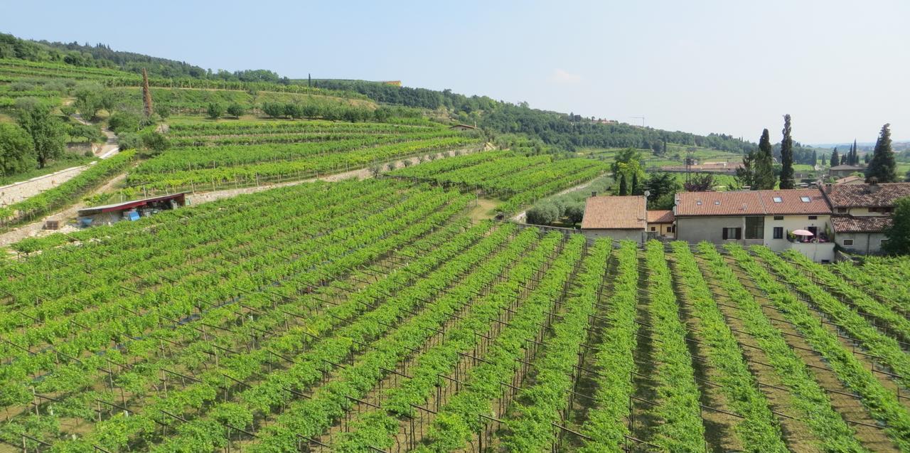 Azienda Agrituristica Corteforte Fumane Exterior foto